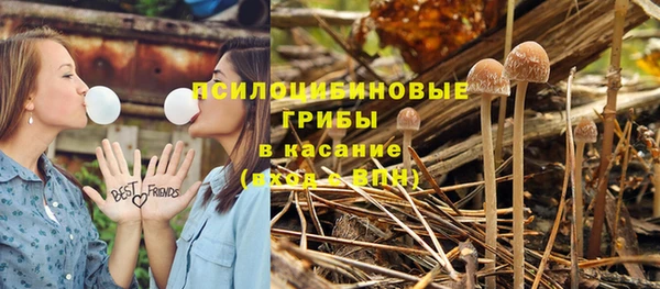 Альфа ПВП Алексеевка